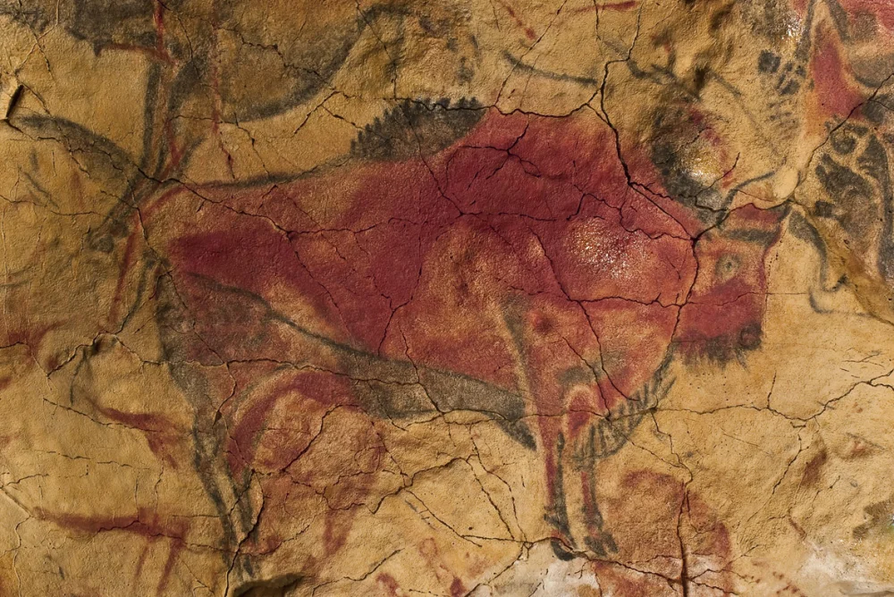 Motivos de las pinturas rupestres en la prehistoria humana