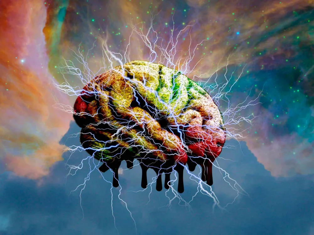 Nueva Perspectiva: Psicodélicos y Su Impacto en la Emoción Cerebral