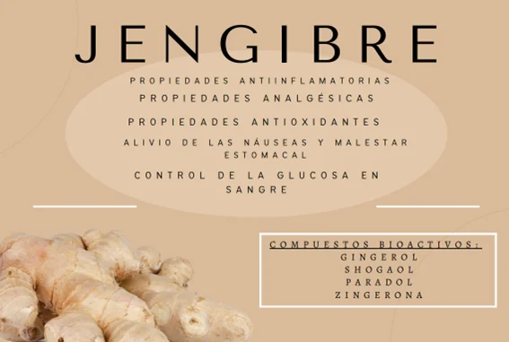 Propiedades saludables del jengibre