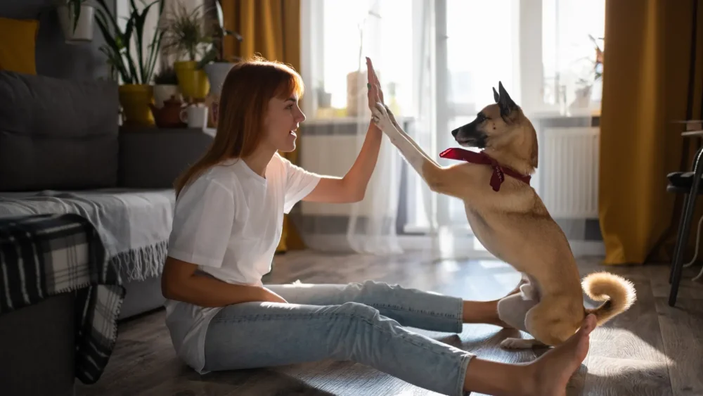 Razones por las cuales los perros imitan a los humanos