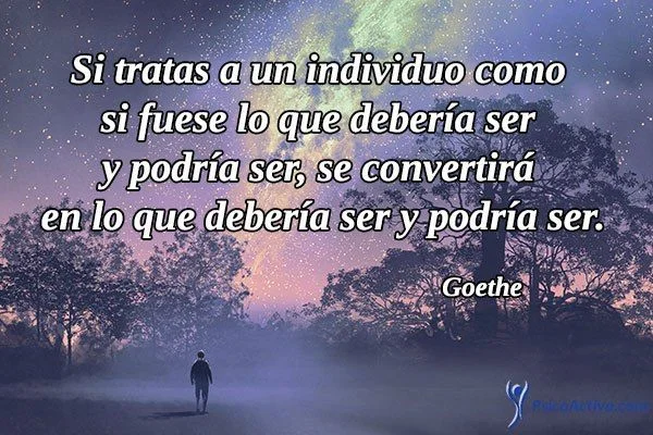 Reflexiones Inspiradoras de Goethe