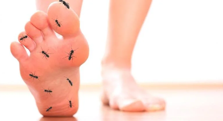 Causas del adormecimiento en las piernas y cómo prevenirlo