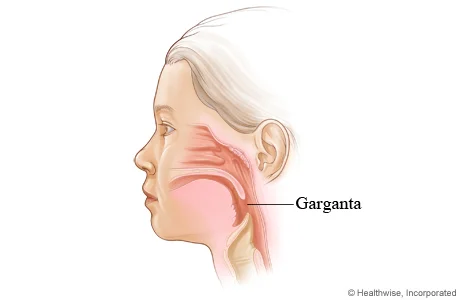 Causas del Nudo en la Garganta