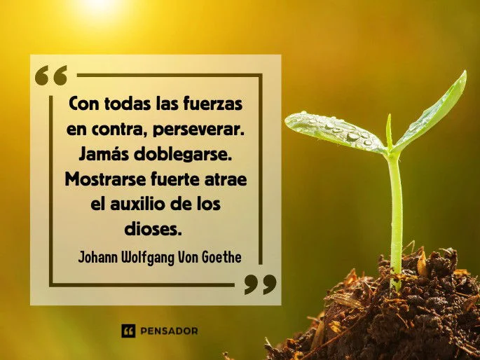 Inspiradoras frases sobre la perseverancia y el éxito