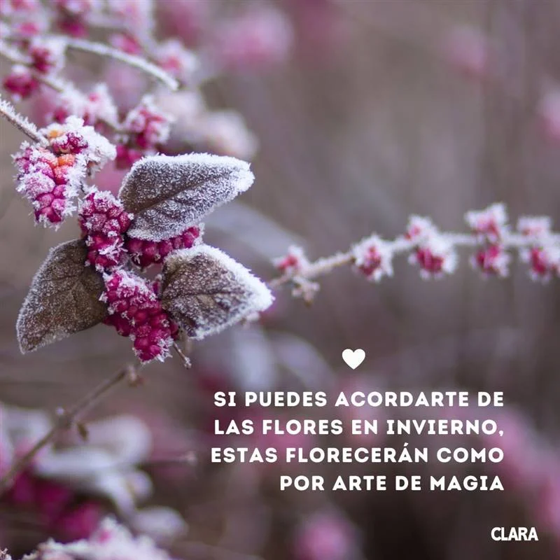 Redescubre la magia de los reencuentros con estas frases inspiradoras