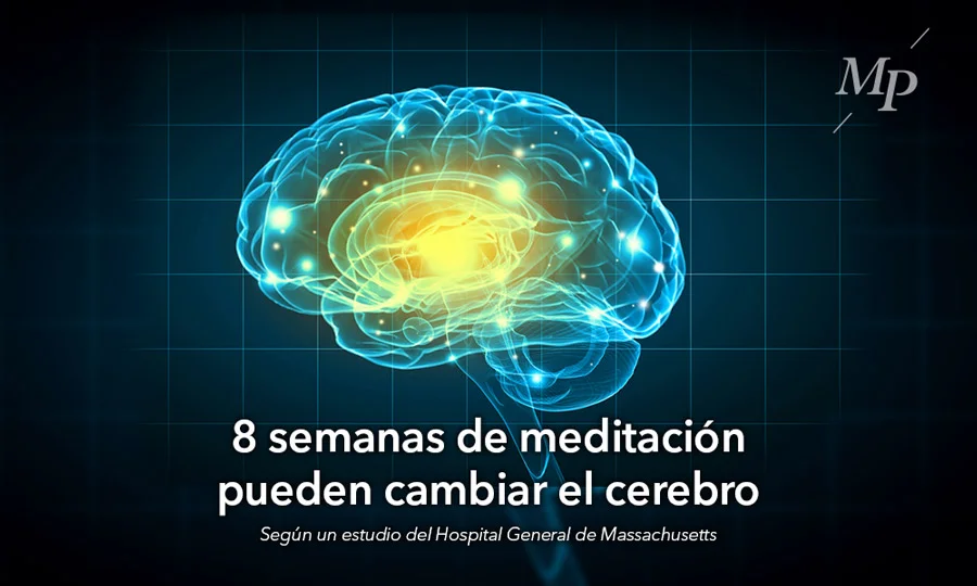 Transformaciones Cerebrales a través de la Meditación
