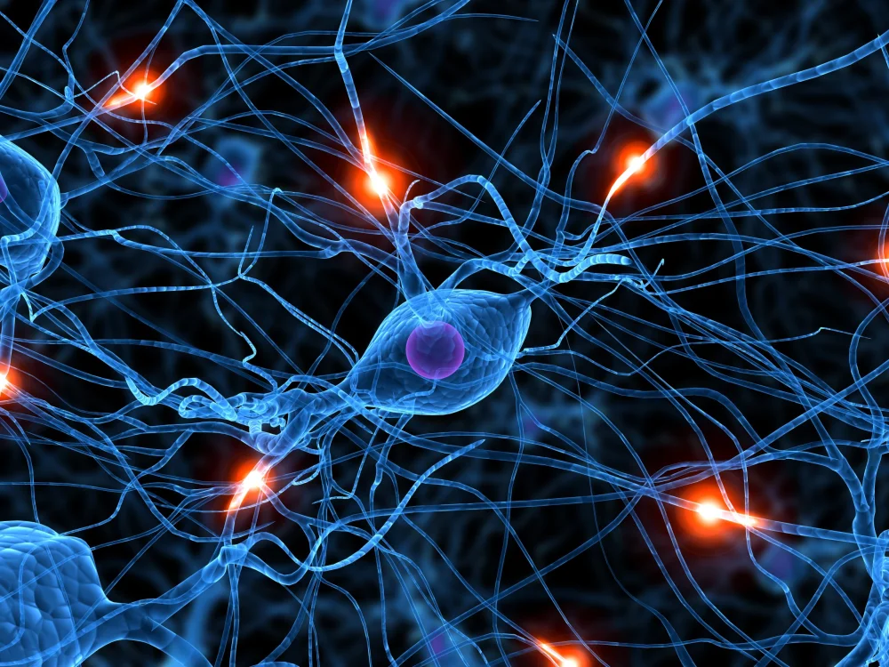 Conexiones Cerebrales: El Arte de la Comunicación Neuronal