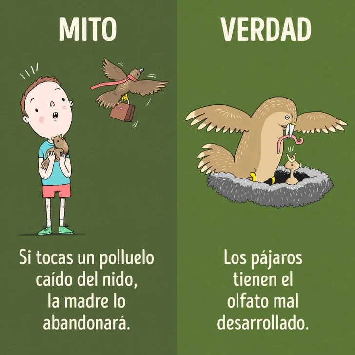 Humor animal: ¿Es realidad o mito?