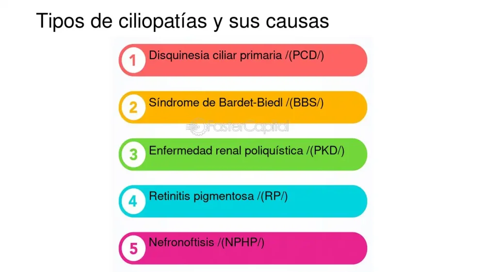 Sindrome Bardet-Biedl: Implicancias y Avances Recientes