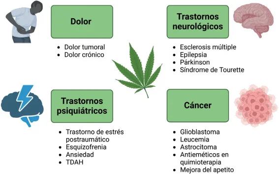Utilidades y beneficios del CBD: Una guía básica
