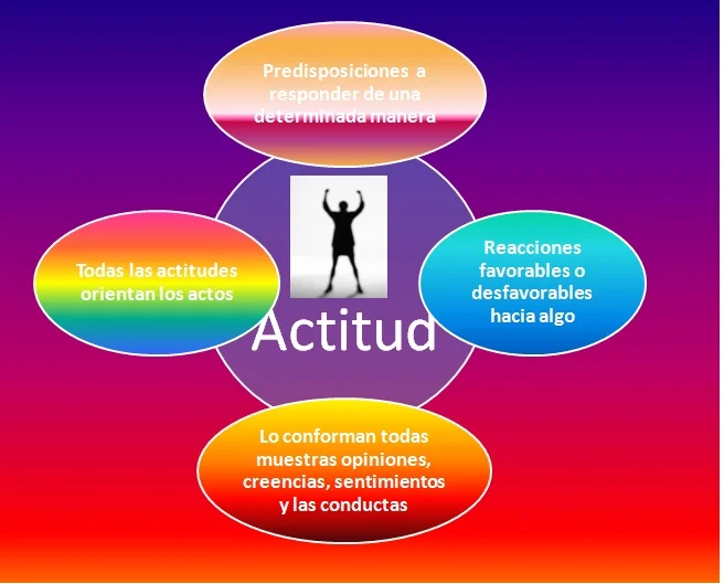 Variedades de actitudes humanas y su impacto
