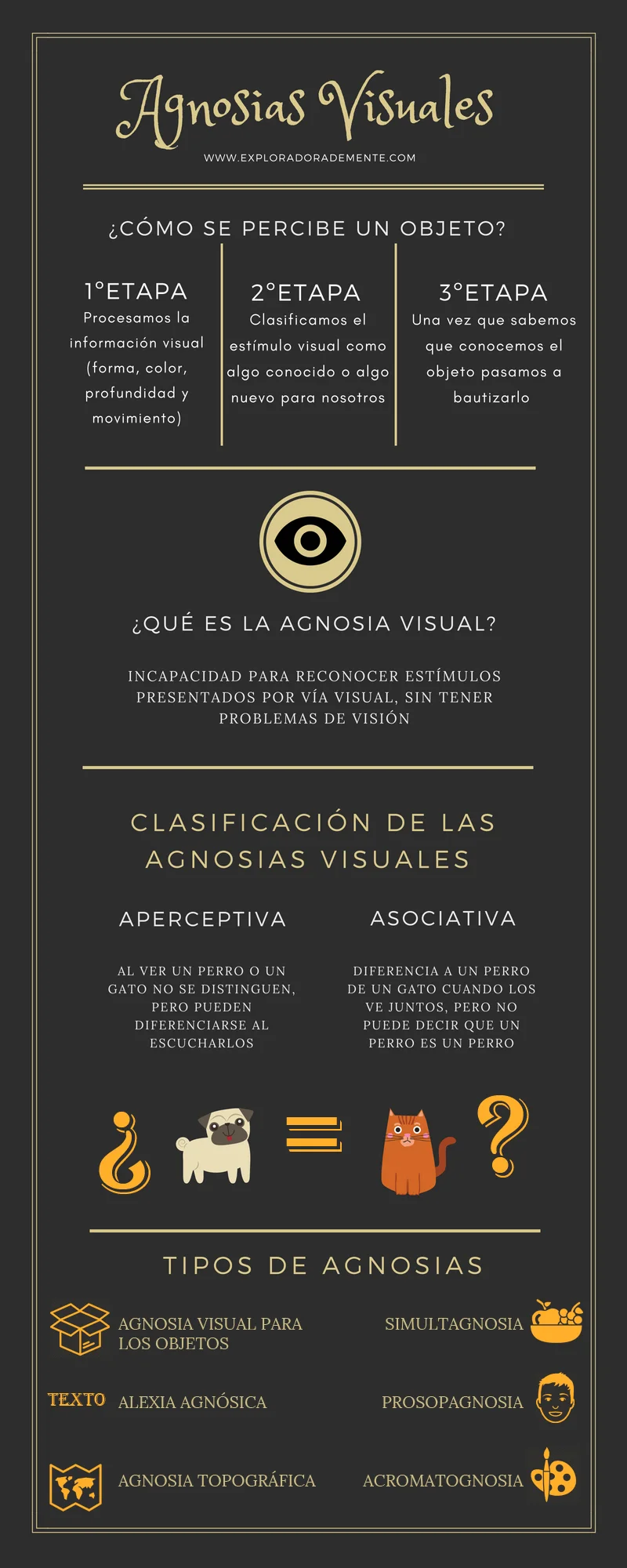 Clasificación de la agnosia visual
