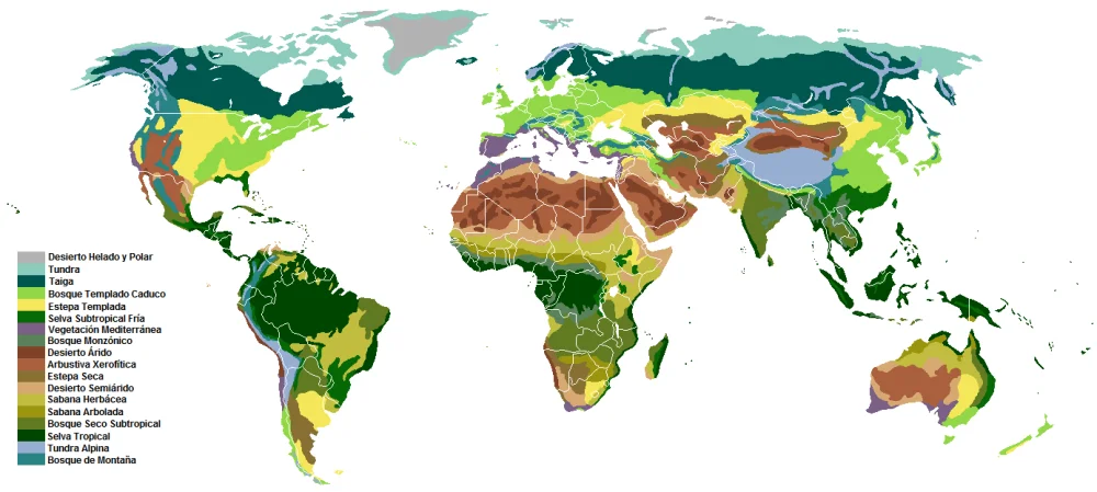 Variedades de biomas del planeta