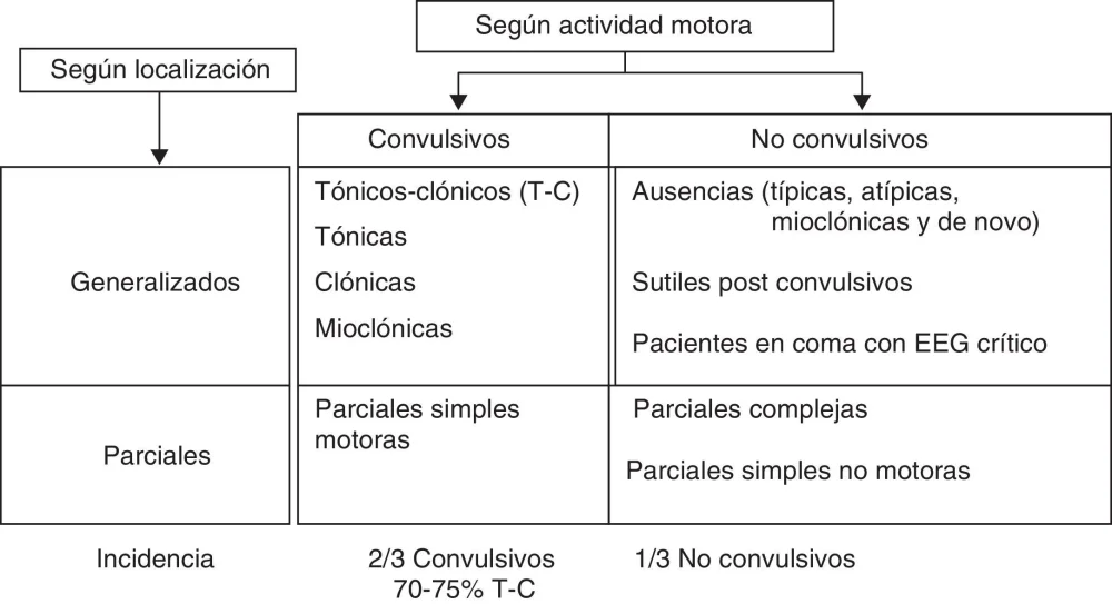 Clasificación de las Convulsiones: Una Guía Completa
