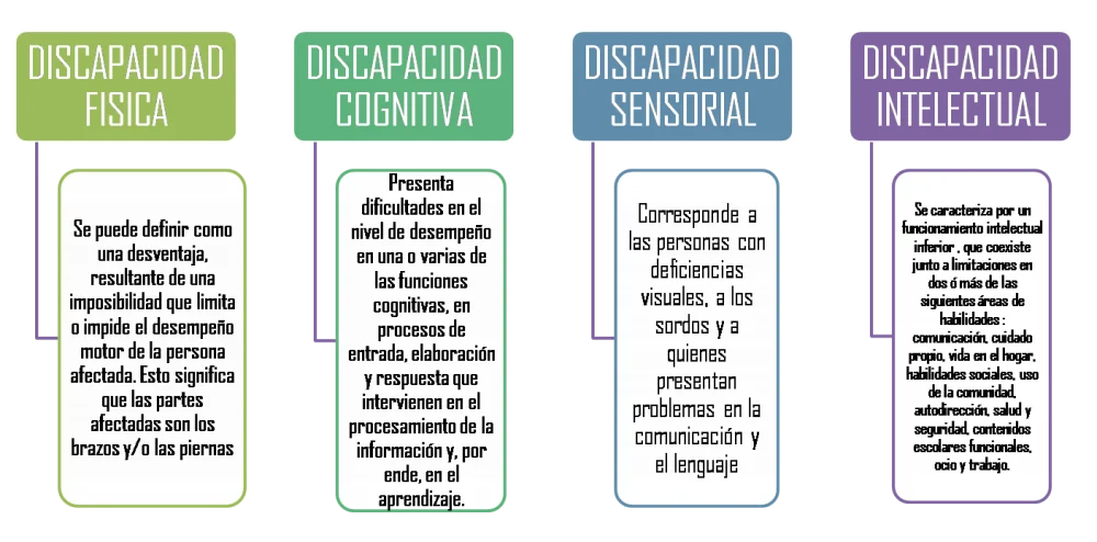 Clasificación de las distintas discapacidades