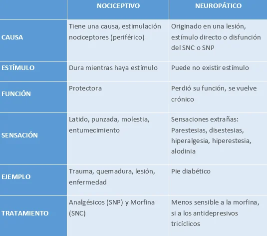 Variantes del Dolor y Sus Características Principales