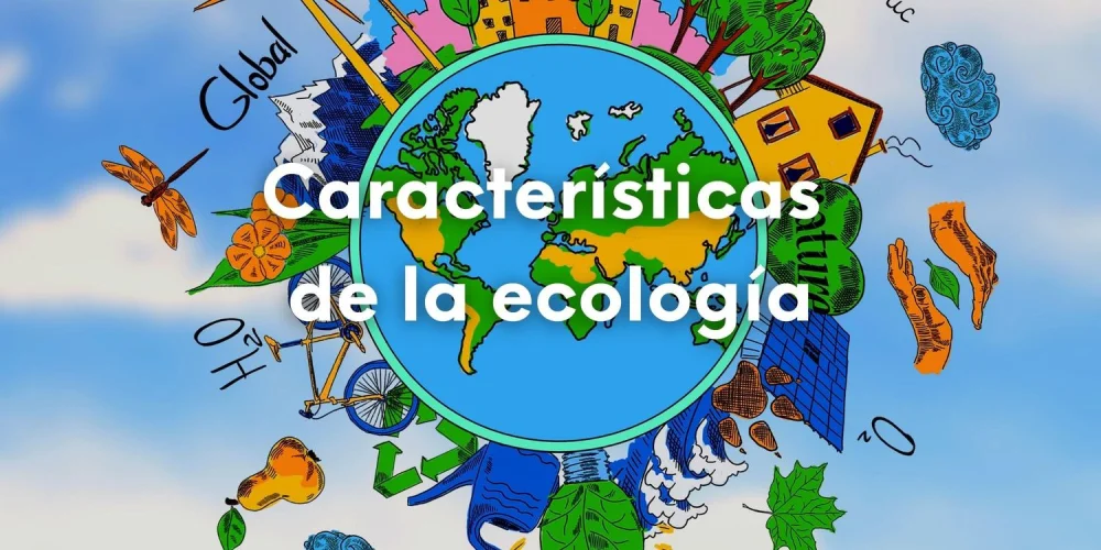 Variedades de Ecosistemas: Un Vistazo Integral