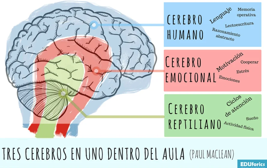 Diversidad de mentes y sus características principales