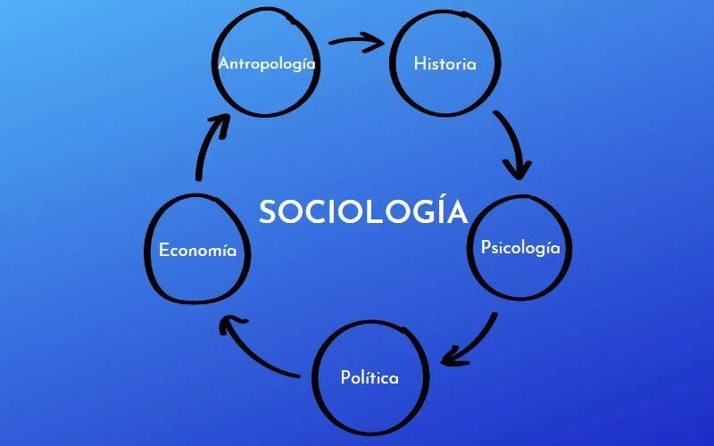 Clasificación de las distintas ramas de sociología