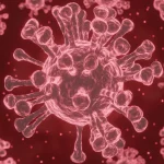 20 Sorprendentes Datos y Curiosidades de la Microbiología