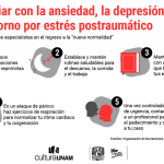 Anticipando la Depresión a través de Expresiones de Enojo