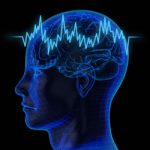 Blue Brain Project: Innovación en la Reconstrucción Cerebral
