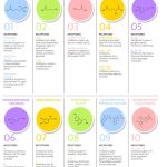 Clasificación y funciones de los neurotransmisores