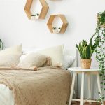 Cómo afecta dormir con plantas en tu habitación