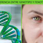 Contrastes entre genotipo y fenotipo: una visión profunda
