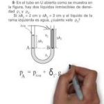 De ley a teorema: entendiendo sus diferencias clave