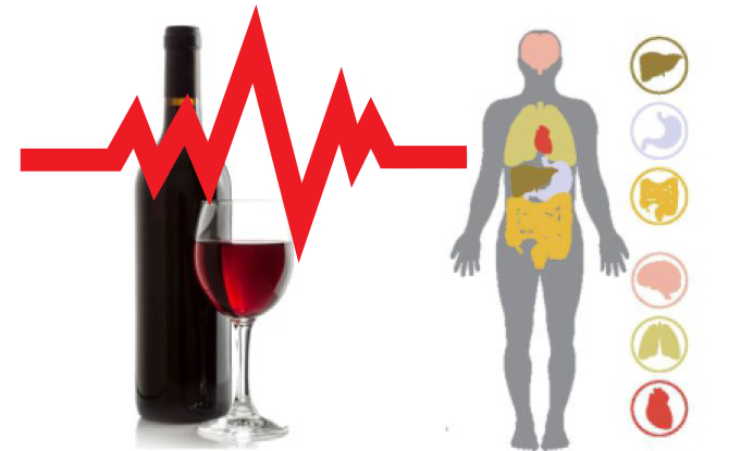 Efectos Inesperados del Alcohol en el Organismo