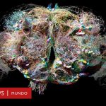 El fascinante mundo del conectoma humano