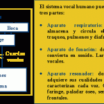 El surgimiento de la comunicación vocal humana