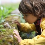 Escuelas Verdes: Impacto de la Vegetación en el Desarrollo Cognitivo