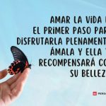 Frases de felicidad para apreciar la belleza de la vida