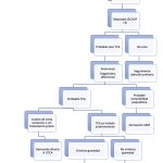 Guía para identificar trastornos de conducta alimentaria