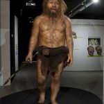 Homo Sapiens Idaltu: Misterios Ancestrales del Pasado Humano