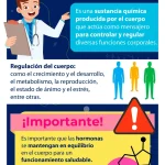 Hormonas y su impacto en el bienestar humano