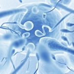 Impacto Sorprendente del Estrés en la Salud del Esperma