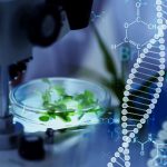 Innovaciones en Biomateriales: Revolucionando el Futuro de la Ciencia