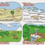 La Esencia Oculta de la Biocenosis