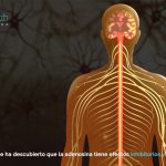 Los secretos de la adenosina: beneficios y funciones esenciales