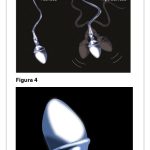 Proceso fascinante de la formación de espermatozoides