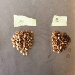 Reducir tu consumo de café: métodos efectivos y sencillos