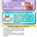 Revelando el Poder de los Reflejos Primitivos
