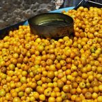 Secretos y Beneficios de la Huaya en tu Dieta