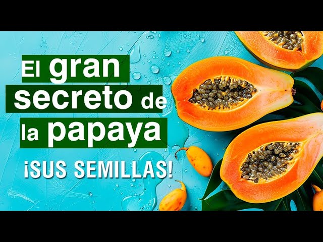 Secretos y ventajas de la papaya para tu salud