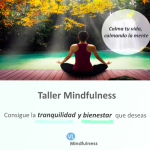 Top Cursos de Mindfulness en Madrid para 2023