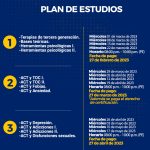 Top Cursos en Terapia de Aceptación y Compromiso