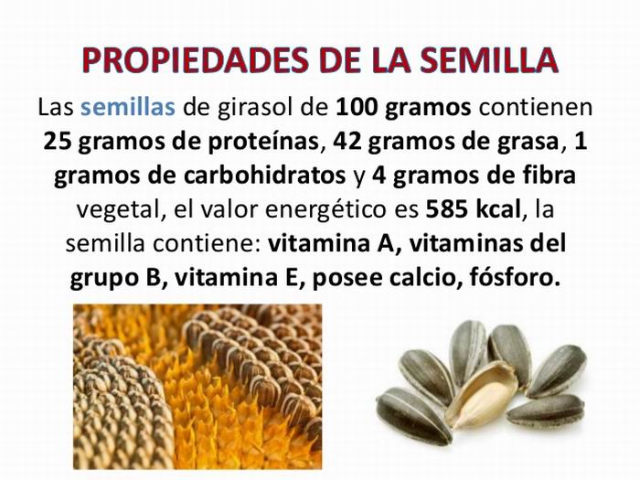 Ventajas y propiedades de las semillas de girasol